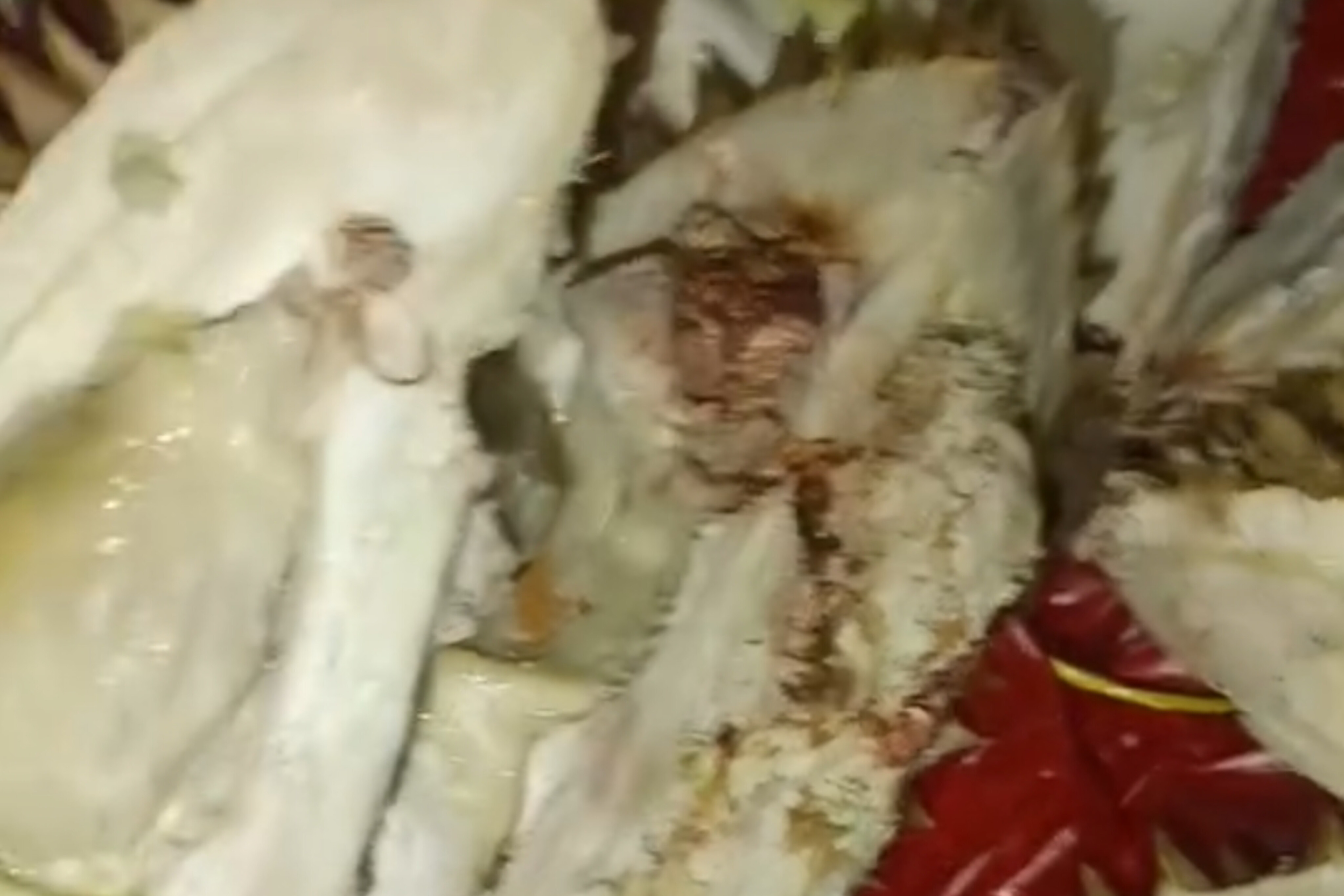 Miris!!! Penjual Durian di Dekat Jalan Masuk Hertasning Diduga Jual Durian Rusak