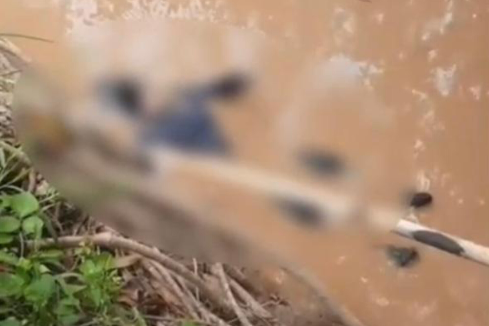 Wanita Diduga Lompat di Bendungan Benteng Pinrang Ditemukan Dalam Keadaan Meninggal Dunia