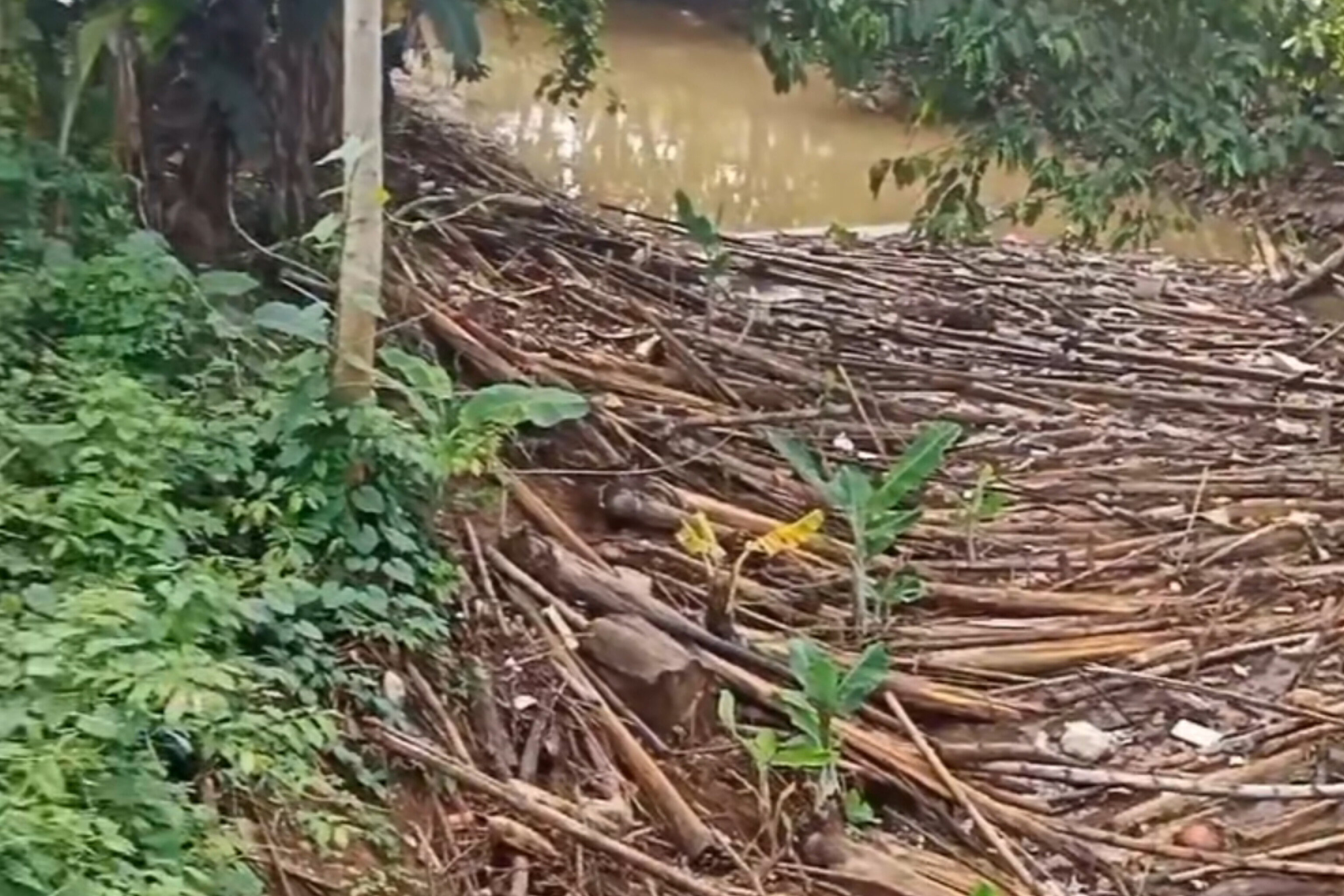 Sampah dan Ranting Kayu Menyumbat Aliran Air di Moncongloe, Warga Minta Tindakan Pemerintah